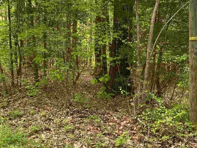 114 Osela Ln, Louisburg, NC 27549 - photo 2