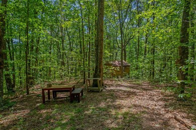 18 ACRES S Piney Spur Rd, Ellijay, GA 30536 - photo 6