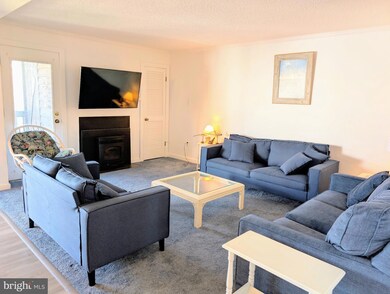 119 Old Landing Rd, Ocean City, MD 21842 - photo 4