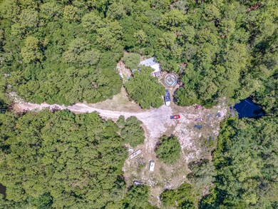 269 Whiddon Lake Rd, Crawfordville, FL 32327 - photo 6