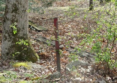 0 W 13th St unit 428276, Jim Thorpe, PA 18229 - photo 4