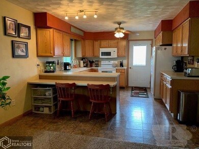 305 S Pearl St, Wayland, IA 52654 - photo 5