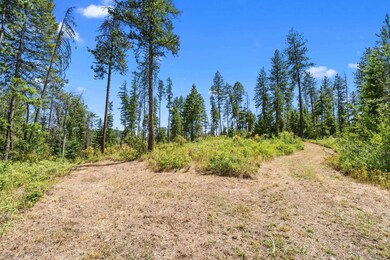 NNA Dry Creek Rd unit Lot 2, Chewelah, WA 99109 - photo 4