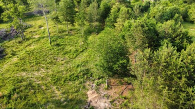 0 Mcentire Cir unit 1374076, Chatsworth, GA 30705 - photo 3