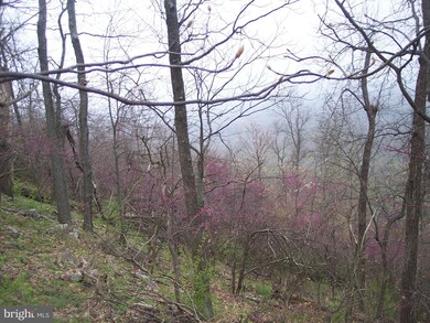 0 Hill Rd unit 1003439364, Warfordsburg, PA 17267 - photo 4