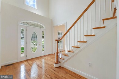 125 Monet Terrace, Winchester, VA 22602 - photo 6