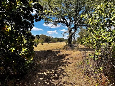 TBD 3 AC E County Road 4896, Boyd, TX 76023 - photo 2