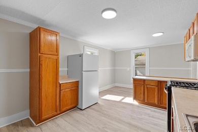 516 E Hunt St, Adrian, MI 49221 - photo 6