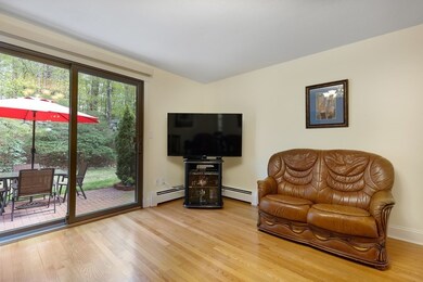 22 Walcott Valley Dr, Hopkinton, MA 01748 - photo 6