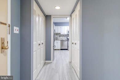 Skyline House unit 412W, Baileys Crossroads, VA 22041 - photo 3