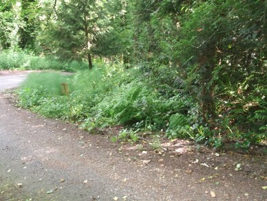 47 W Mercer Way, Mercer Island, WA 98040 - photo 5