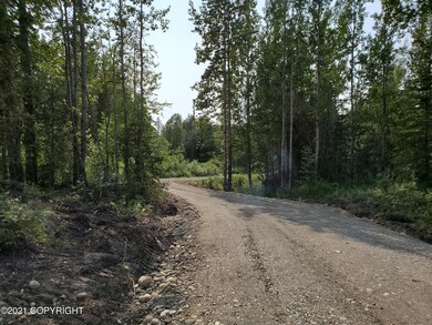 Yarrow Road from the driveway.