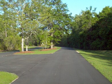 Main Road into Community
