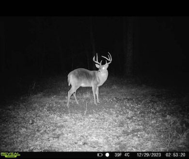 3 Pleasant Ln, Wesson, MS 39191 - photo 3