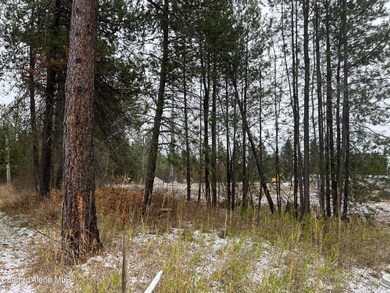 North Tree Line