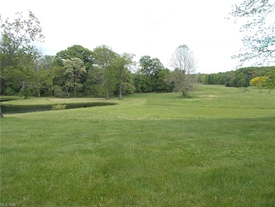 Back yard w/view of neighbors pond.