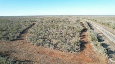 0 Fm 716 unit 20255320, Realtitos, TX 78376 - photo 3