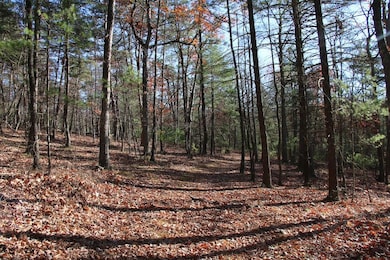 0 Rolly Rd unit LotWP001 23098894, Mount Jackson, VA 22842 - photo 2