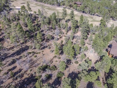 DJI_0037-1