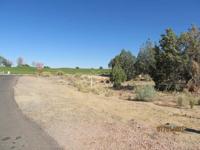 6400 Bent Tree Cir, Farmington, NM 87402 - photo 2