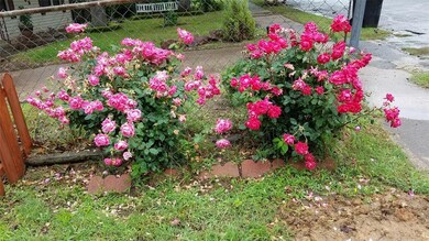 1109 Redbud St, Denison, TX 75020 - photo 4