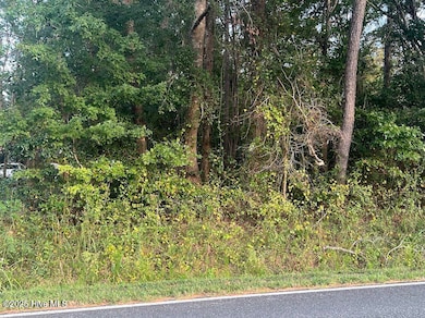 4595 Mercer Mill Brown Marsh Rd, Clarkton, NC 28433 - photo 2