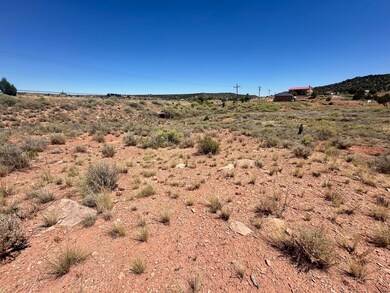 0 W Shumway Rd, Taylor, AZ 85901 - photo 3