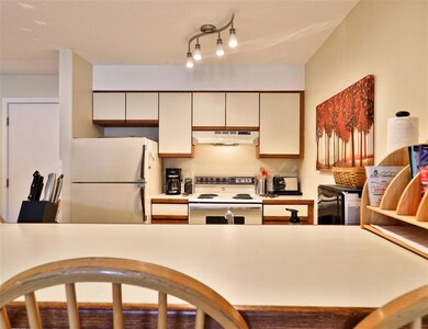 318 Mountain Rd unit A204, Ludlow, VT 05149 - photo 6