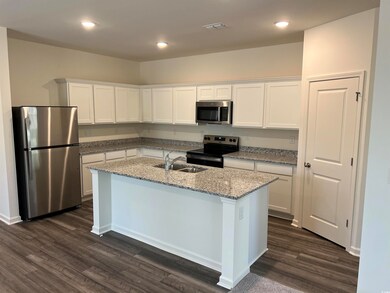 Kitchen featuring a sink, dark wood-style flooring