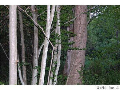 Land. Variety of hardwoods and hemlock.