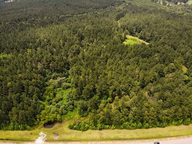 DJI_0635