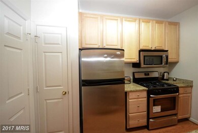46582 Drysdale Terrace unit 102, Sterling, VA 20165 - photo 5