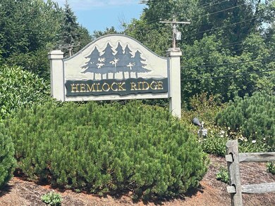 16 Hemlock Ridge Dr unit 301, White River Junction, VT 05001 - photo 4