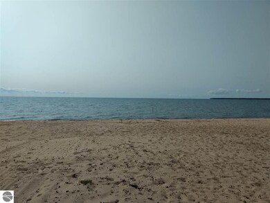 4106 E Michigan Ave, Au Gres, MI 48703 - photo 7