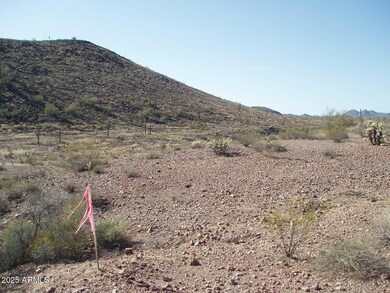 29625 W Carefree Hwy unit 6, Unincorporated County, AZ 85361 - photo 3