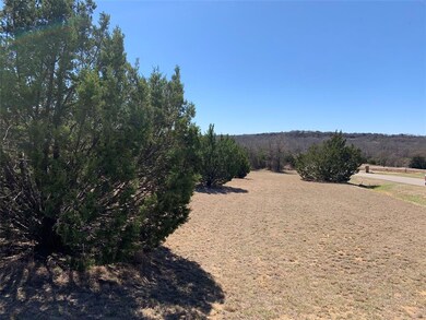 161 Creek Bend Dr, Poolville, TX 76487 - photo 3