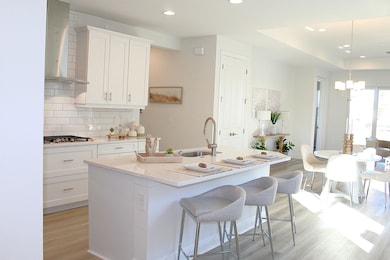 Kitchen Left Angle - Representational Photo