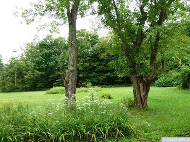 4120 Route 214 Rd, Hunter, NY 12442 - photo 5