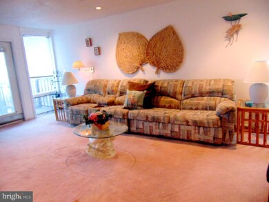 2816 Plover Dr unit C, Ocean City, MD 21842 - photo 7