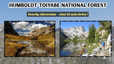 116 Toquima Way, Austin, NV 89310 - photo 4