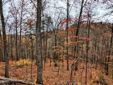 2313 Grey Fox Run, Sevierville, TN 37862 - photo 5