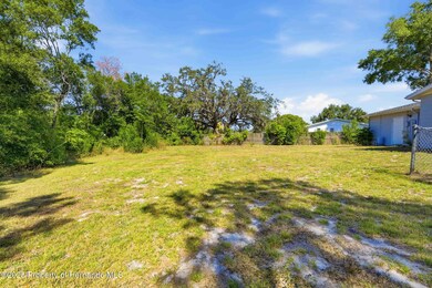 4533 Lakeshore Ave, Spring Hill, FL 34606 - photo 7