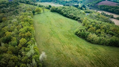 19-DJI_0070