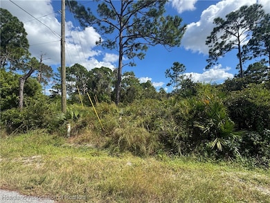 341 Fairfield Ave, Lake Placid, FL 33852 - photo 2