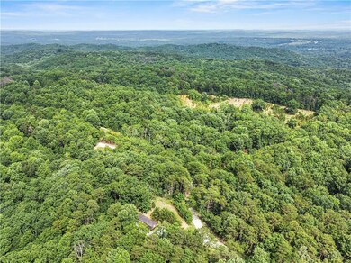 Bird's eye view of a forest
