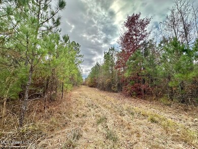 1 County Road 3122, McCool, MS 39108 - photo 2