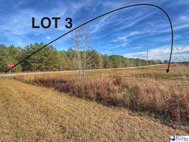 917 Mallory Beach Rd, Latta, SC 29565 - photo 4