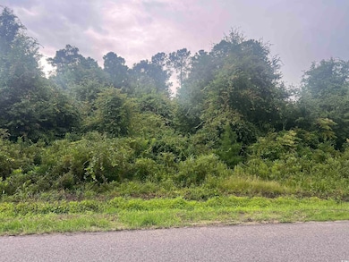 View of local wilderness