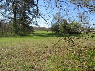 Land View 6
