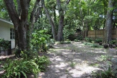 fenced back yard
